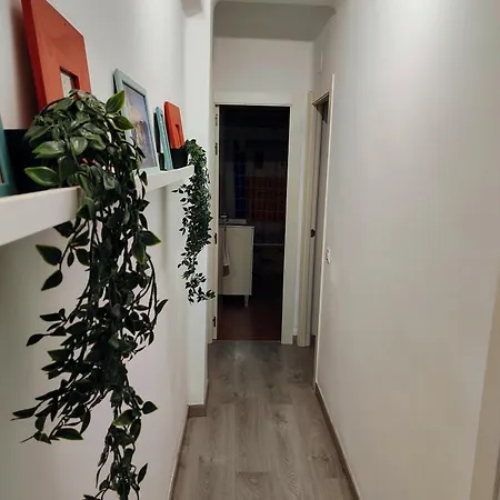 S&j * Malaga